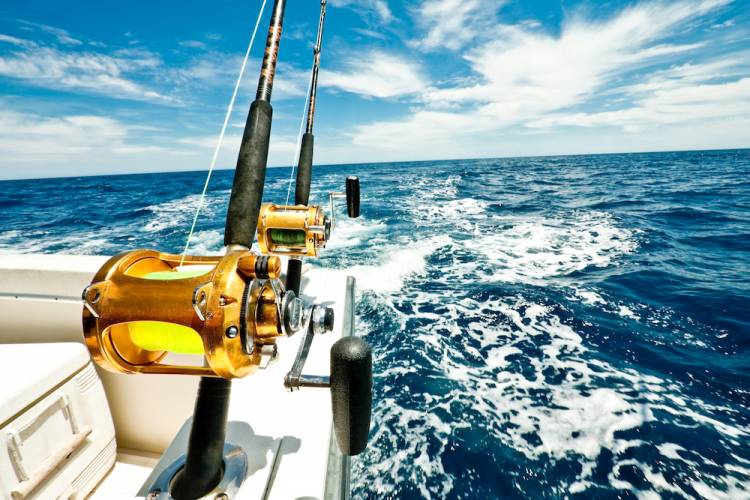 fishing rods on a deep sea fishing boat