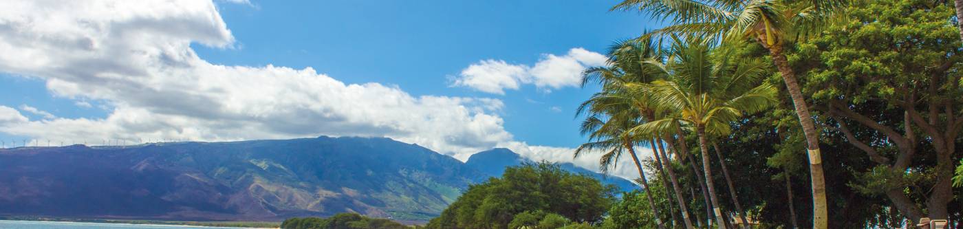 maui vacation rentals